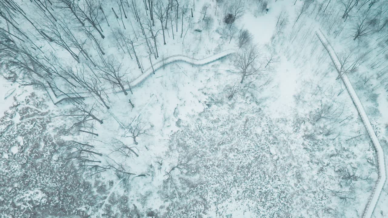 Veduta aerea di zone umide innevate e ghiacciate nella solitudine invernale