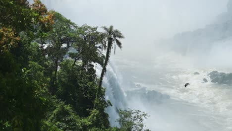 Picturesque-Slow-Motion-Bird-Flying-over-Beautiful-Rocky-Waterfall-Landscapes,-View-of-Birdlife-Passing-Over-Jungle-Waterfalls-Falling-into-Large-Pool-in-Iguazu-Falls,-Brazil,-South-America