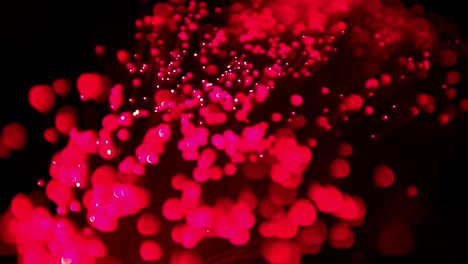 slow motion fibre optics 04