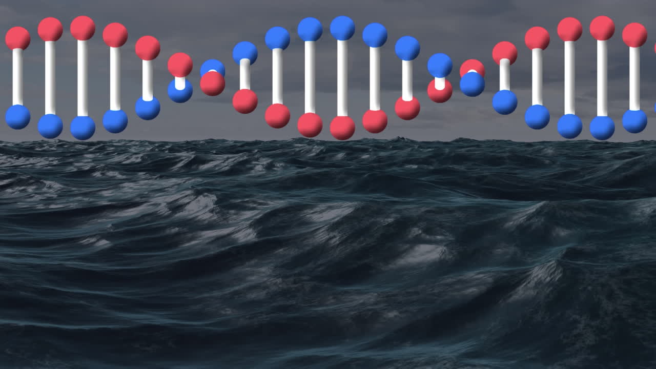 해양 풍경 위의 dna 가닥의 애니메이션