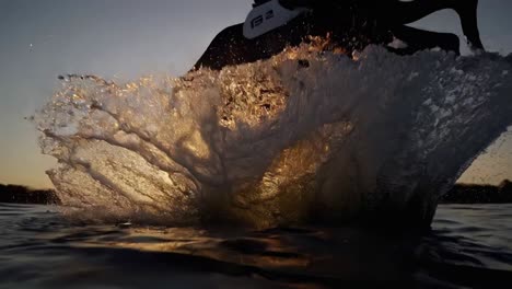 horse splashing in water at sunset