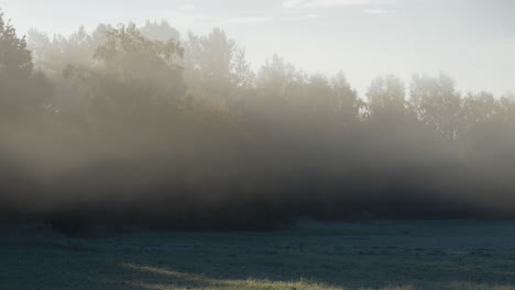 Amanecer-De-Otoño-En-Suecia:-Lapso-De-Tiempo-De-Rayos-De-Sol,-Niebla-Y-árboles