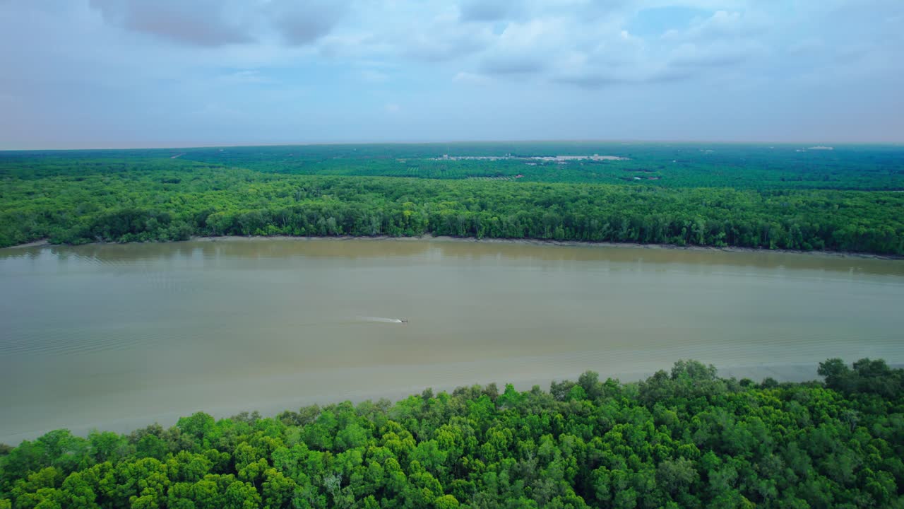 Aerial view of a river surrounded by lush forest