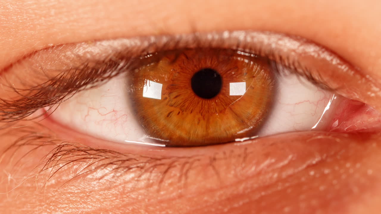 타임  ⁇ 스 인간 눈.