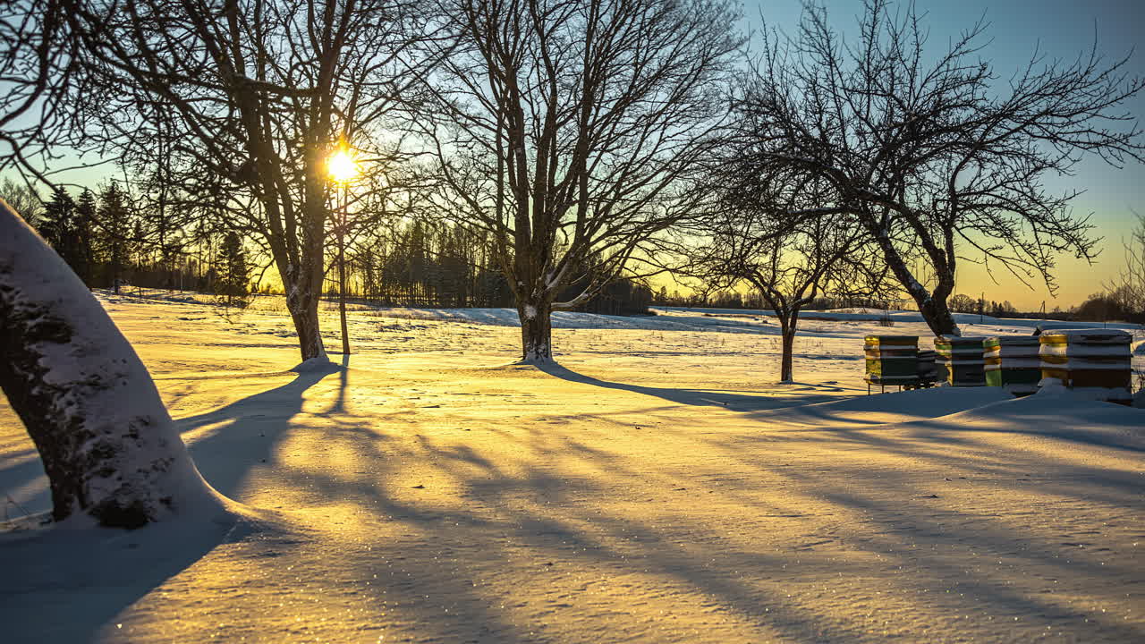 태양이 겨울 하늘을 지날 때 눈 위로 움직이는 나무 그림자 - 시간 경과