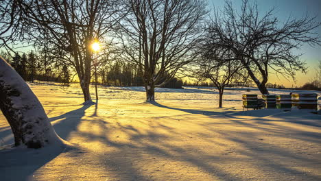 Baumschatten-Bewegen-Sich-über-Den-Schnee,-Während-Die-Sonne-Den-Winterhimmel-überquert---Zeitraffer