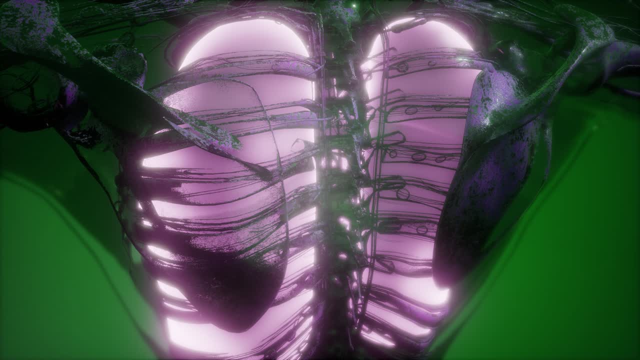 cuerpo humano con pulmones visibles