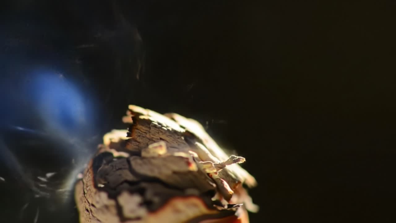 A Close-Up Exploration of Smoldering Bark Layers, Revealing Intricate Textures and Subtle Smoky Tendrils Against a Softly Illuminated Background