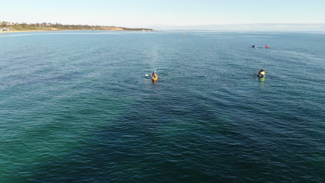 vuelo aéreo sobre kayakistas disfrutando del agua en sandringham, melbourne, australia