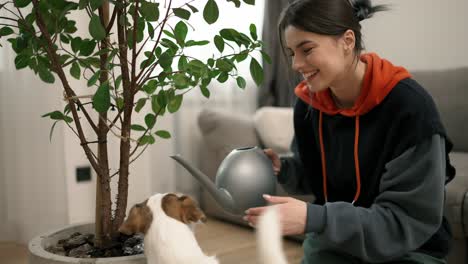 Woman-watering-green-flower-at-home-with-her-pretty-dog-terrier