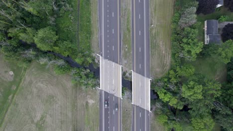 Vogelperspektive-Der-Luftdrohne-über-Zwei-Vögel-über-Einem-Wasserkanal-Entlang-Einer-Autobahn-Tagsüber