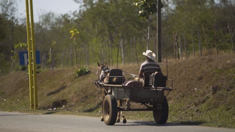 day-shot-close-up-of-Man-on-horse-and-cart-rides-the-streets-of-Cuba,-Havana-traditional-lifestyle