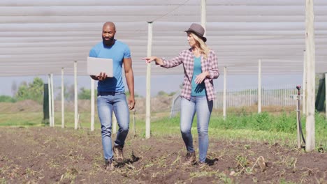 Video-De-Mujeres-Y-Hombres-Diversos-Con-Una-Computadora-Portátil-Caminando-En-Invernadero