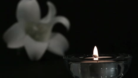 candle blowing out beside white lily