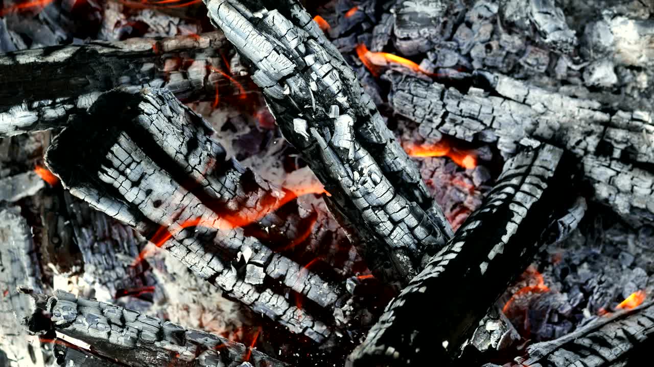 primer plano de la leña que se quema en el fuego, el carbón y las cenizas