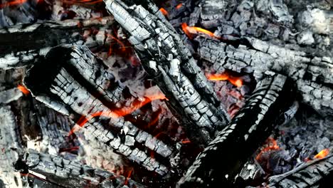 close-up of firewood burning in the fire, coal and ash