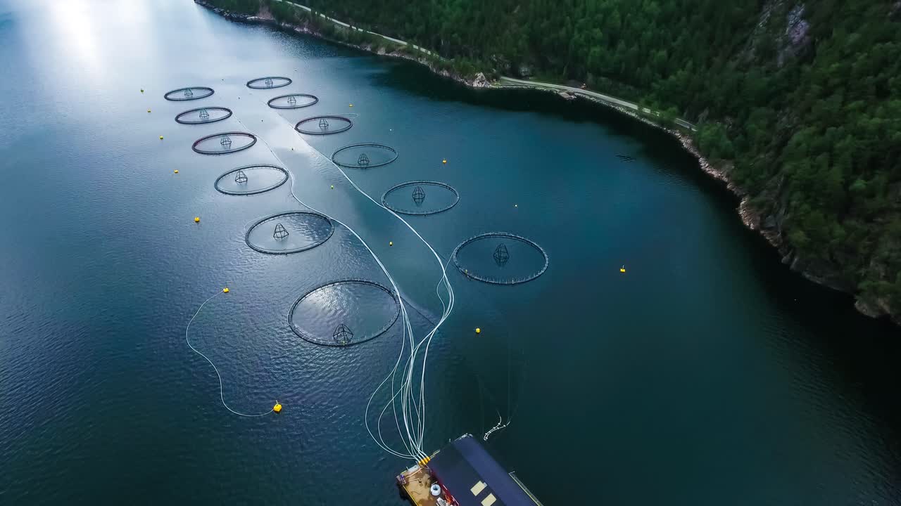 노르웨이에서 연어  ⁇ 시를 하는 공중 촬영