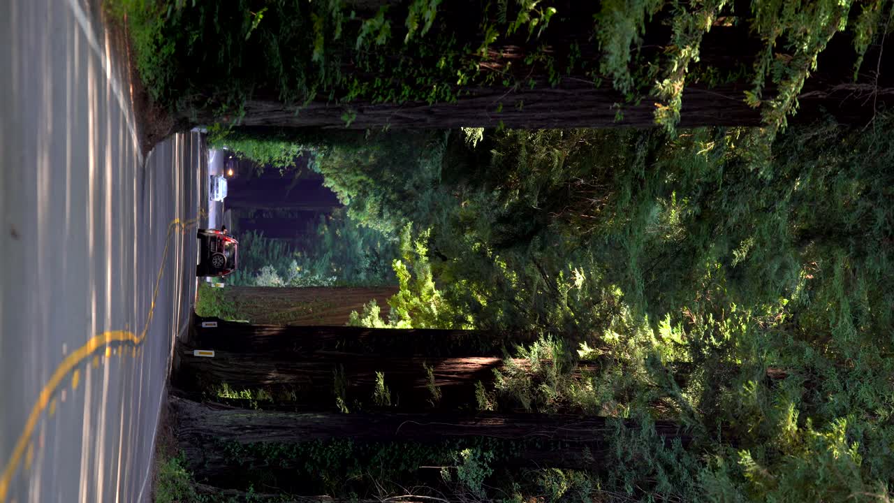 훔볼트 주립 공원의 자이언츠 로드를 주행하는 자동차의 수직 영상