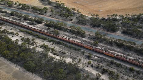 tren de carga largo que atraviesa una zona rural, australia occidental