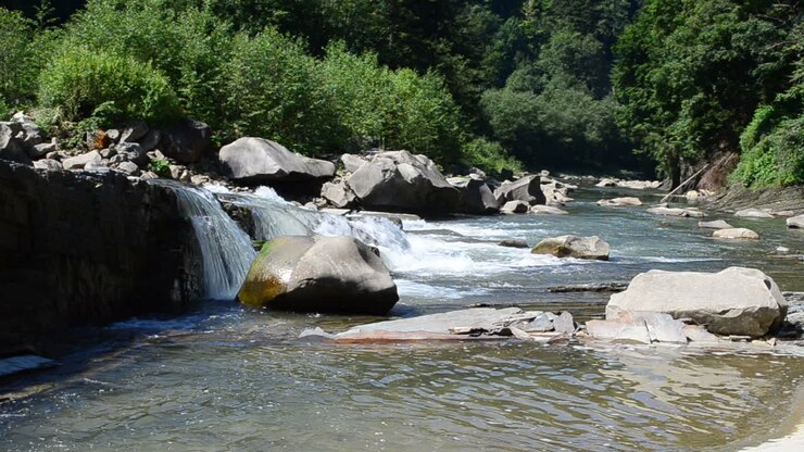 Rivière de montagne. Montagnes et rivière.