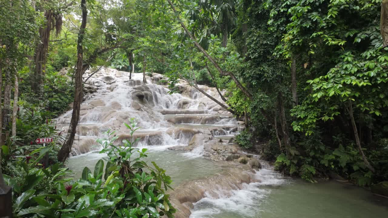 Thác Nước Được Bao Quanh Bởi Rừng Ở Jamaica