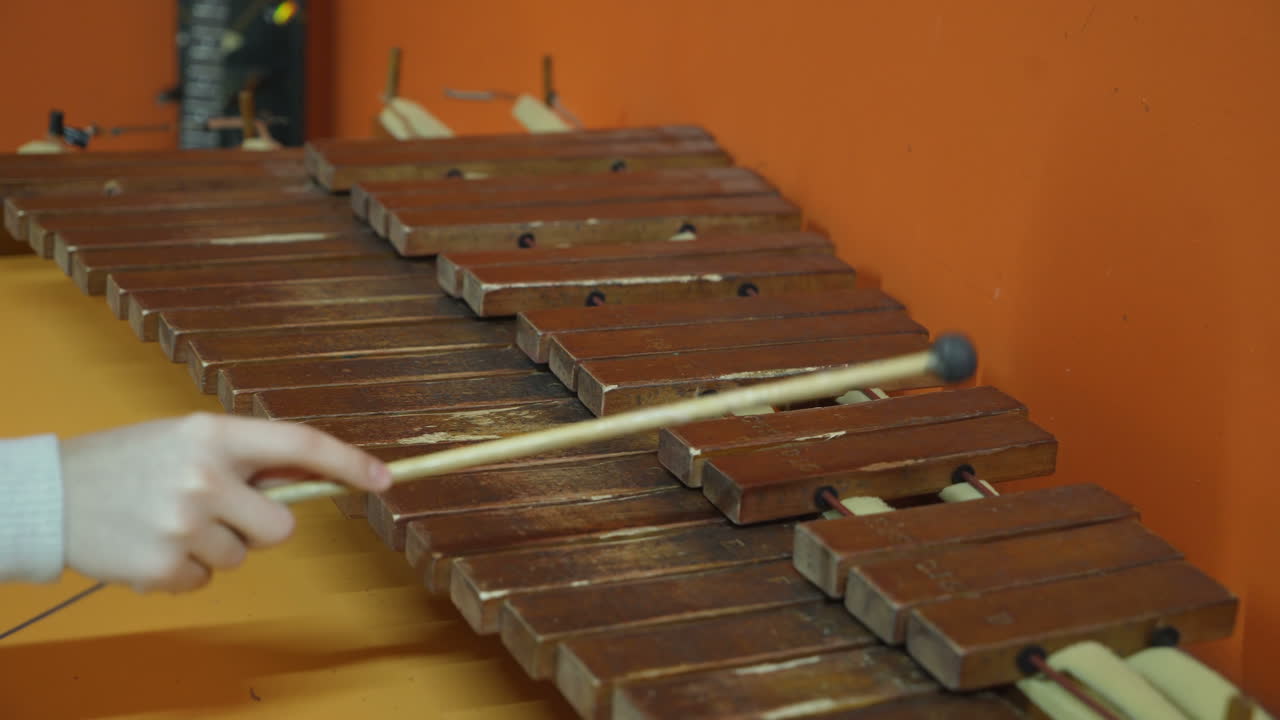 Boy playing on xylophone. Museum of entertaining sciences