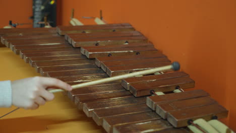 Boy playing on xylophone. Museum of entertaining sciences