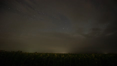 time-lapse. hermoso amanecer durante una tormenta sobre un campo de girasoles por la noche.