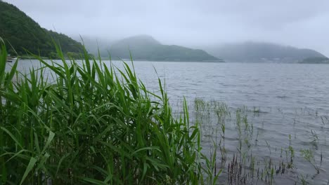 lake kawaguchiko at mount fuji in japan - the famous fujiyama