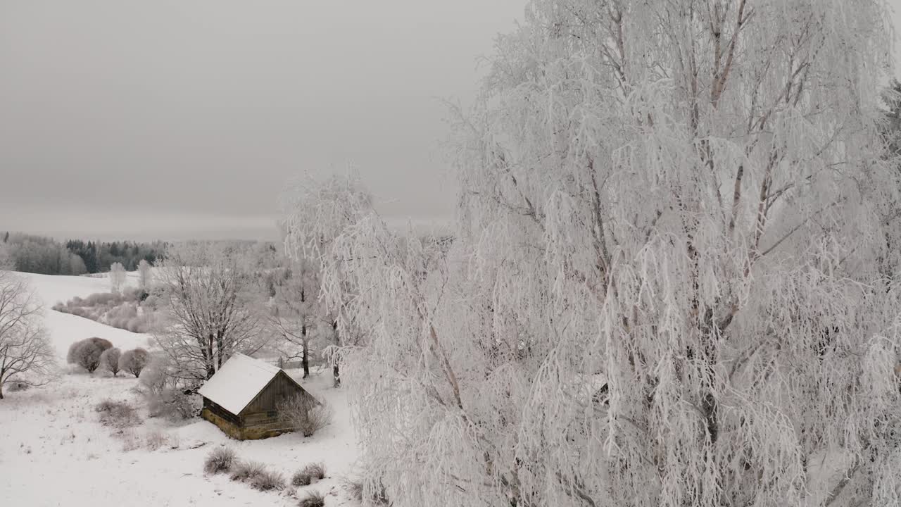 Frost covered trees in countryside landscape on a cloudy winter day. Aerial view of trees covered with snow. Hoar on a birch tree. Frozen trees after extreme cold.