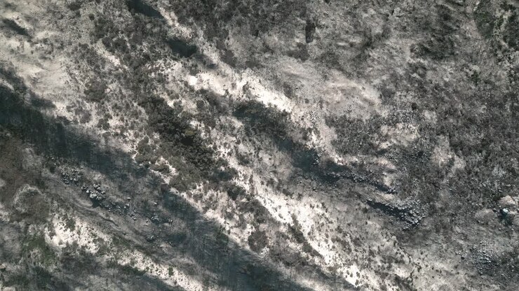 Afbrændt bjerg fra sommerens brandsæson.
