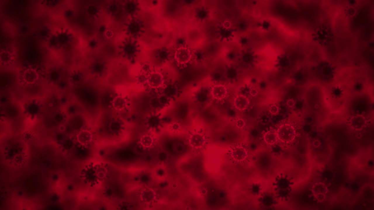 gráficos de movimiento abstractos - células de virus en movimiento (bucle)