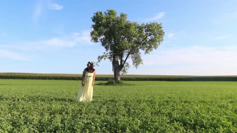 Frau-Mit-Einem-Schönen-Gelben-Kleid,-Die-An-Einem-Sonnigen-Tag-Im-Freien-Neben-Einer-Einsamen-Drei-Steht,-Filmszene-In-Minnesota