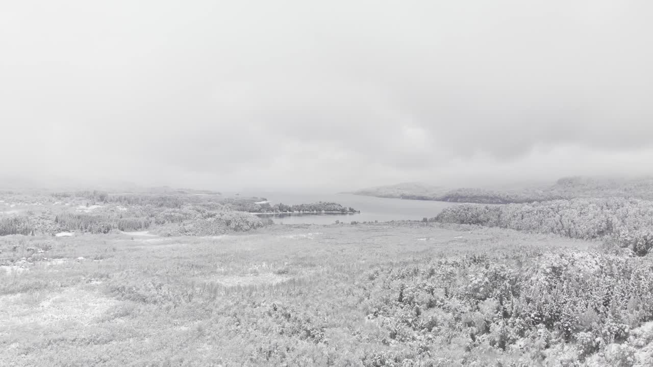 겨울, 눈이 내리고 흐린 습지의 조감도