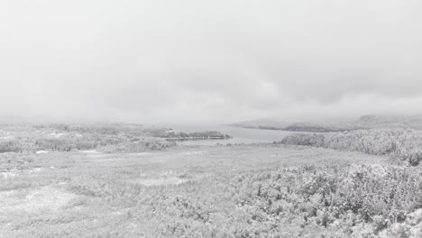 aerial view of the wetlands in winter, snowy and cloudy