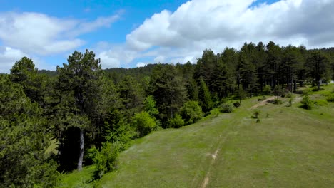 Pine-trees-forest-and-green-grassy-meadow-on-beautiful-tranquil-mountains-with-cloudy-sky-background