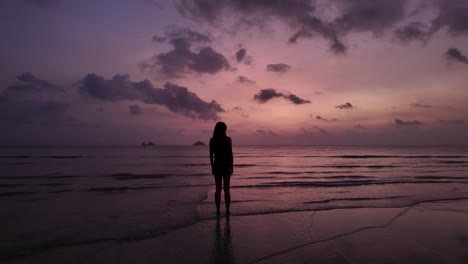 silhouette of a woman on the seashore at sunset