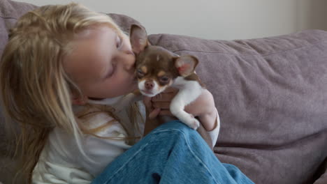 girl kissing her adorable chihuahua puppy