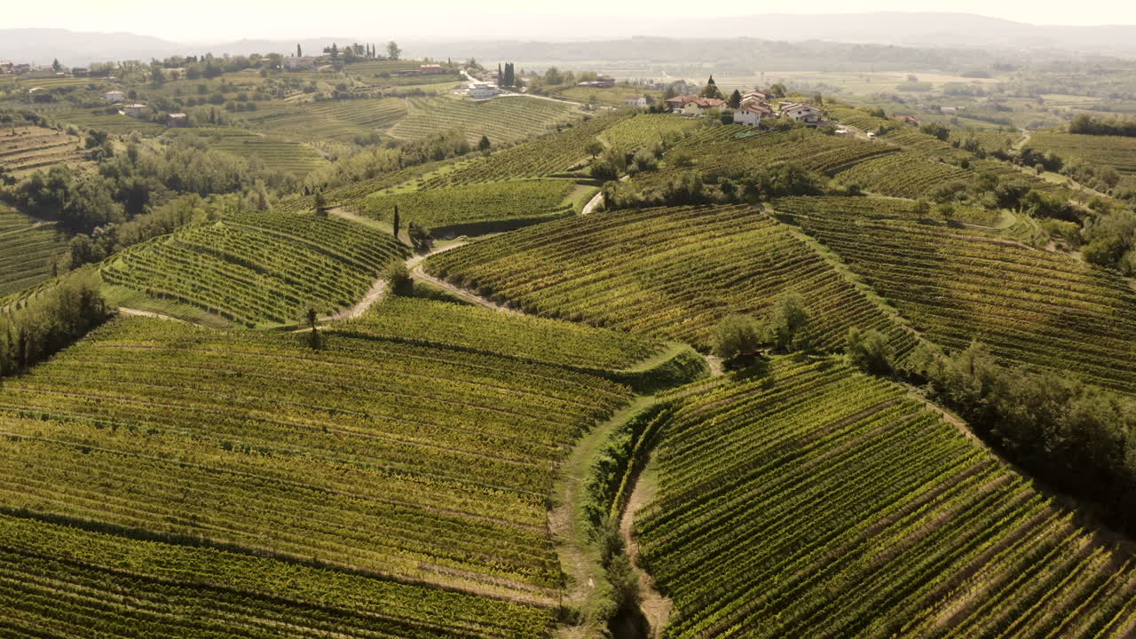 Vigneti sulle colline italiane