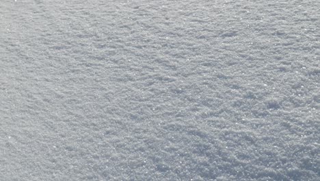 close up shot of fresh glittering snow winter wonderland, swiss alps zermatt glacier ski resort