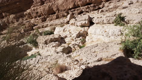 The-pools-of-Wadi-Shab-canyon-in-Oman-on-a-sunny-day,-handheld-wide-shot