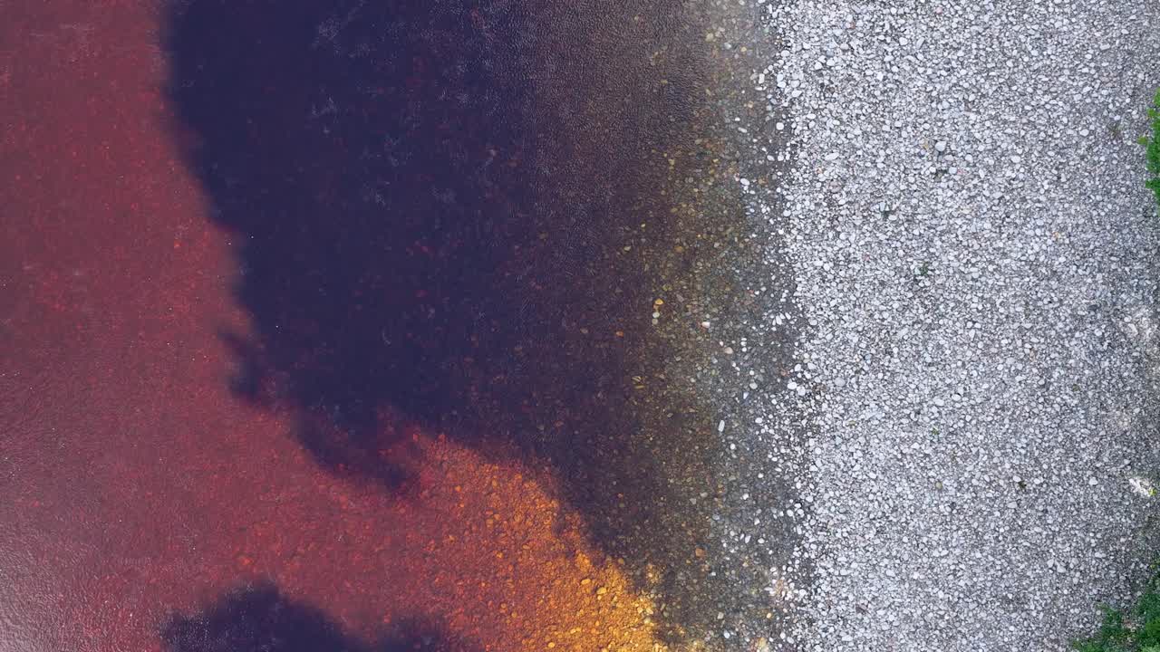 Drone camera moves downward above tranquil river, green forest, and stony riverbank in daylight