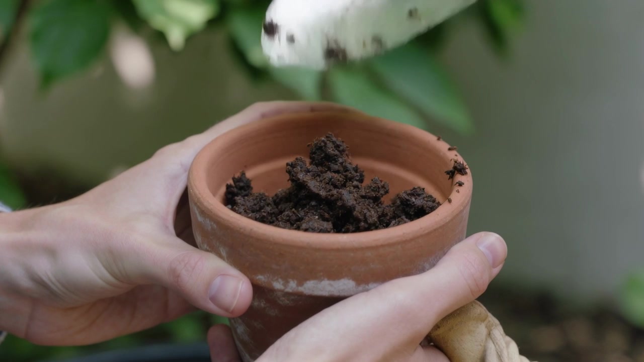 Un giardiniere con i guanti aggiunge terriccio, rovesciando la paletta in un vaso di terracotta nel patio per la piantumazione.