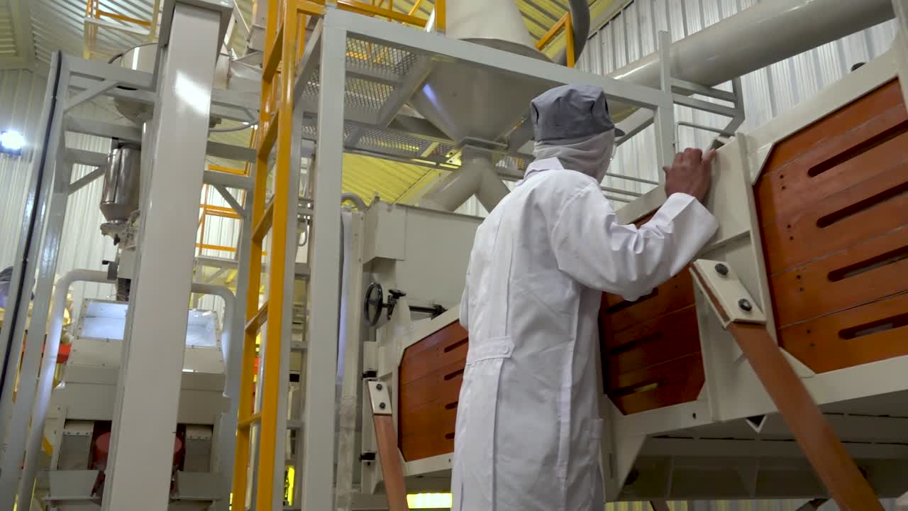 fábrica de café la fabricación de granos de café 29.97fps