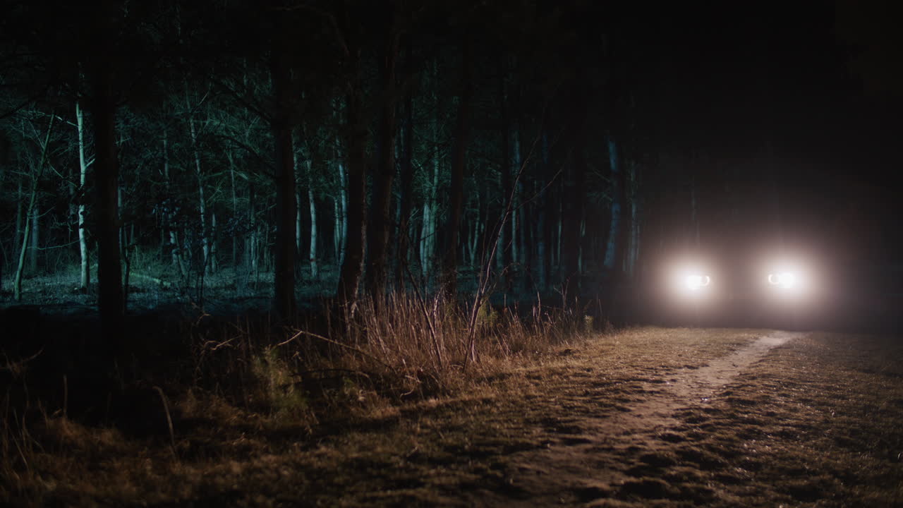 Car Driving Through a Dark Forest at Night