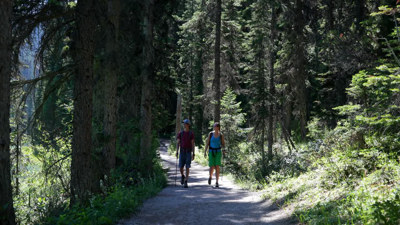 Front view of young caucasian hiker couple with backpack hiking in dense forest 4k