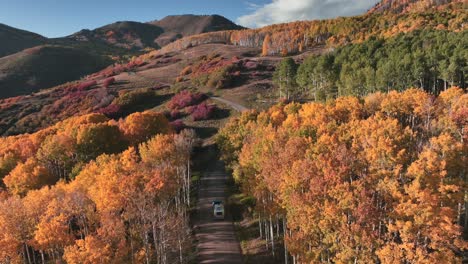 high above the golden aspen trees of colorado lies adventure