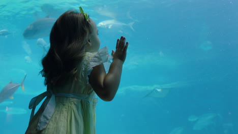 little girl in aquarium looking at fish swimming in tank happy child watching beautiful marine animals in oceanarium having fun learning about sea life in aquatic habitat