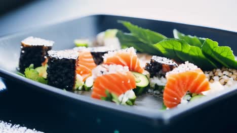 sushi platter with salmon and maki rolls