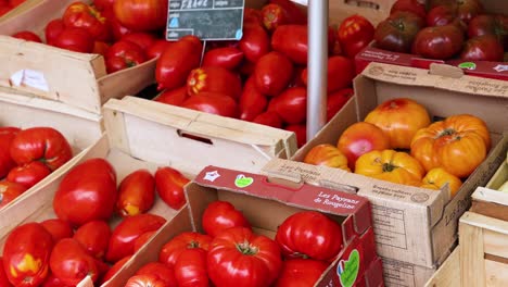 verduras de colores expuestas en un puesto de mercado